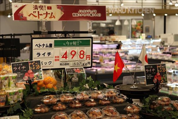 Le commerce vietnamo-japonais atteint 16 mds de dollars en quatre mois